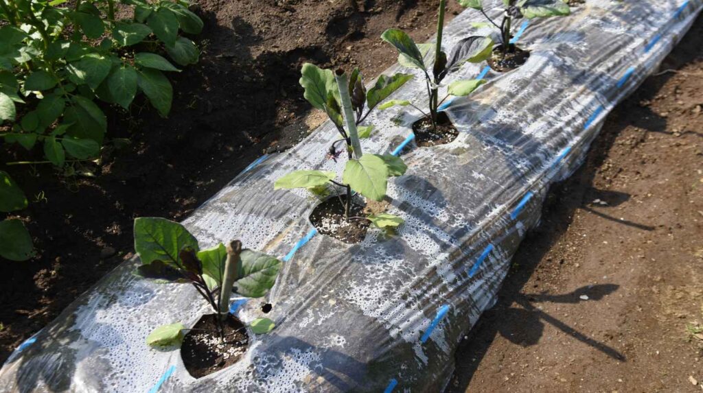 מוצרים לבית ולגינה