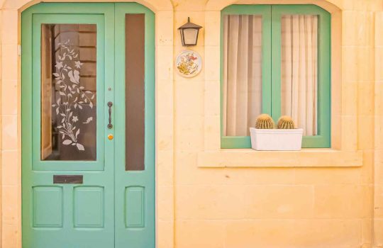 דלתות כניסה2